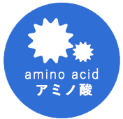 aアミノ酸aminoacid